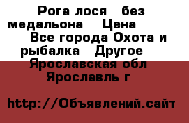 Рога лося , без медальона. › Цена ­ 15 000 - Все города Охота и рыбалка » Другое   . Ярославская обл.,Ярославль г.